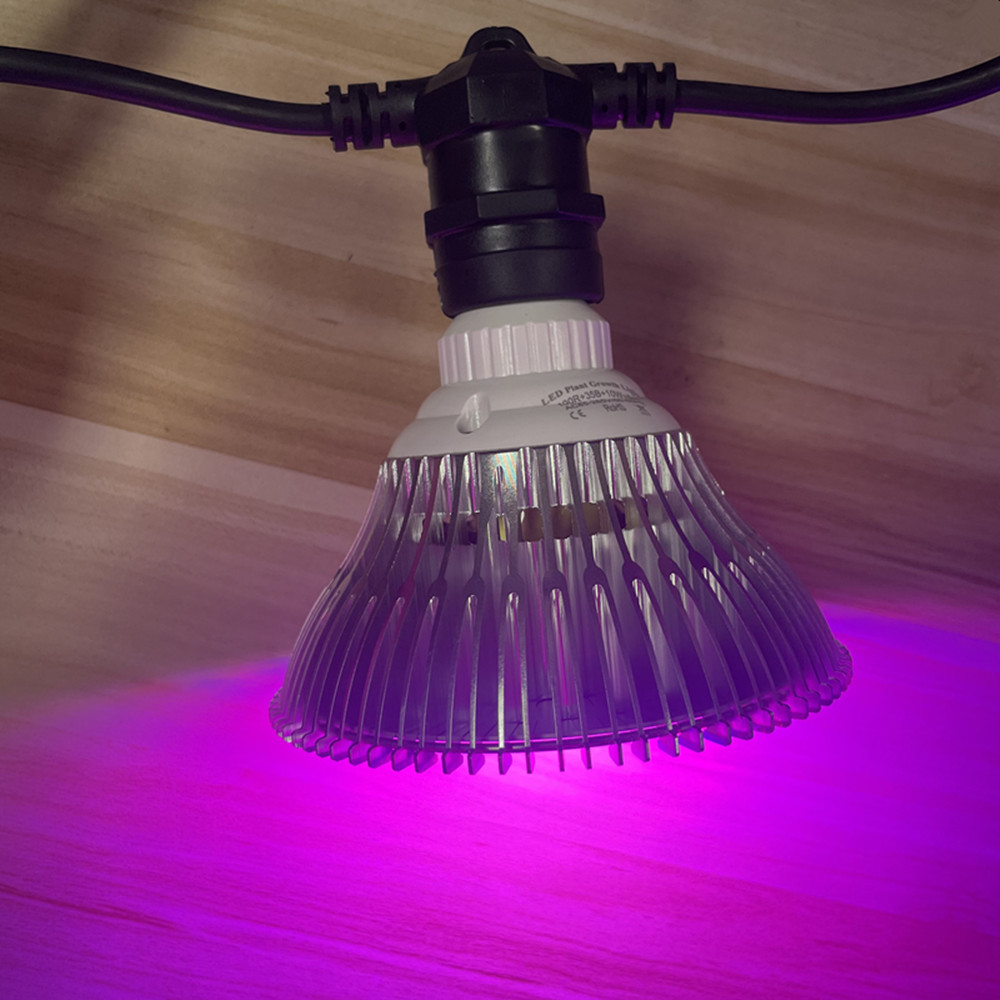 Cadena de luces LED de 10M, re - String Light Outdoor reseña y precio